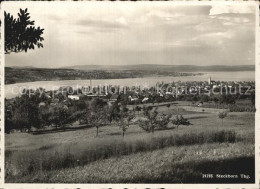 12588375 Steckborn Untersee Panorama Bodensee Steckborn - Sonstige & Ohne Zuordnung