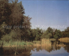 12588025 Pfyn Waldweiher Naturreservat Pfyn - Sonstige & Ohne Zuordnung