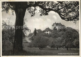 12578805 Stettfurt Schloss Sonnenberg Stettfurt - Altri & Non Classificati