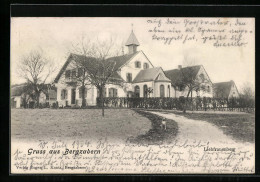 AK Bergzabern, Hund Am Weg Zu Liebfrauenberg  - Bad Bergzabern