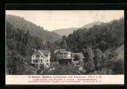 AK Oppenau /Lierbachtal, Die Luftkurhotel-Pension Z. Taube Und Berge  - Oppenau