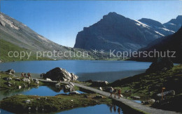 12507315 Daubensee Mit Daubenhorn Am Gemmipass Daubensee - Sonstige & Ohne Zuordnung