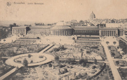 BRUXELLES LE JARDIN BOTANIQUE - Brüssel (Stadt)