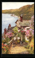 Pc Clovelly, Rose Cottage & Bay  - Other & Unclassified