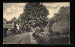 Pc Bonchurch, The Pond And Cottages  - Sonstige & Ohne Zuordnung