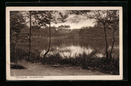 AK Berlin-Grunewald, Blick über Den Hundekehlensee  - Grunewald