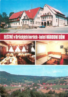 73620725 Orlickych Hor Hotel Narodni Dum Gaststube Zimmer Panorama Orlickych Hor - Czech Republic