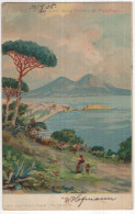 Napoli - Panorama Della Collina Di Posillipo. - (Italia) - 1905 - Napoli