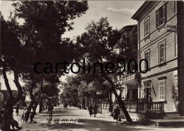 Abruzzo-teramo-silvi Viale G.garibaldi Veduta Viale Bella Animata Silvi Marina Anni 50 - Other & Unclassified