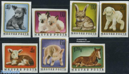 Hungary 1974 Young Animals 7v, Imperforated, Mint NH, Nature - Animals (others & Mixed) - Cats - Cattle - Dogs - Horse.. - Ungebraucht