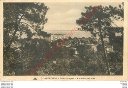 33.  ARCACHON . A Travers Les Pins . - Arcachon