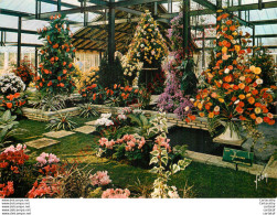 Floralies Internationales De PARIS 1969 . - Tentoonstellingen