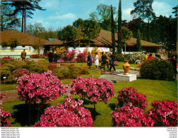 Floralies Internationales De PARIS 1969 . - Expositions