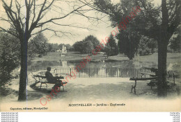 34.  MONTPELLIER .  Jardins . Esplanade . - Montpellier