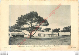 33.  ARCACHON . Débarcadère Du MOULEAU . - Arcachon