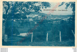 42.  BELMONT .  Vue Générale . - Belmont De La Loire