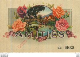 61.  Amitiés De SEES . - Sees