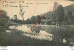 01.  OYONNAX .  Etang De Geille . - Oyonnax