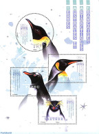 French Antarctic Territory 2018 Empereur Penguin S/s, Mint NH, Nature - Birds - Penguins - Ongebruikt