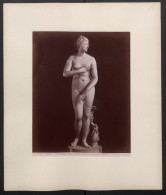 Foto Giacomo Brogi, Ansicht Florenz-Firenze, Galleria Uffizi, Venere De Medici, Celebre Lavoro Greco Di Cleomene  - Lieux