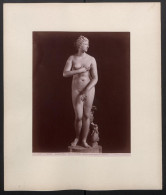 Foto Giacomo Brogi, Ansicht Florenz-Firenze, Galleria Uffizi, Venere De Medici, Celebre Lavoro Greco Di Cleomene  - Orte