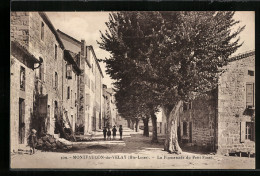 CPA Montfaucon-du-Velay, La Promenade Du Petit Fossé  - Montfaucon En Velay