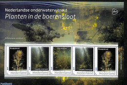 Netherlands - Personal Stamps TNT/PNL 2023 Underwaterworld 5v M/s, Mint NH, Nature - Flowers & Plants - Autres & Non Classés