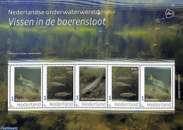 Netherlands - Personal Stamps TNT/PNL 2023 Underwaterworld 5v M/s, Mint NH, Nature - Fish - Vissen