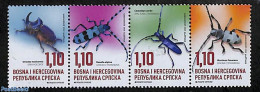 Bosnia Herzegovina - Serbian Adm. 2023 Beetles 4v [:::] (hor. Or Vert.), Mint NH, Nature - Animals (others & Mixed) - .. - Otros & Sin Clasificación