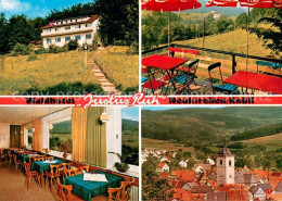 73616342 Neukirchen Knuellgebirge Waldhotel Justus-Ruh Gaststube Terrasse Panora - Sonstige & Ohne Zuordnung