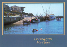 29 LE CONQUET LE PORT DE PECHE - Le Conquet