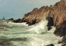 29 PLOGOFF LA POINTE DU RAZ - Plogoff