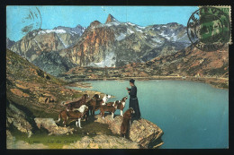 14681 - SUISSE - LAC Du GRAND SAINT BERNARD - Sonstige & Ohne Zuordnung