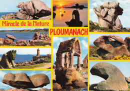 22 PLOUMANACH LES ROCHERS BIZARRES - Ploumanac'h