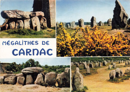 56 CARNAC ALIGNEMENTS DU MENEC - Carnac