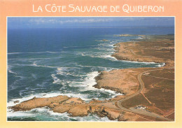 56 QUIBERON LA COTE SAUVAGE - Quiberon