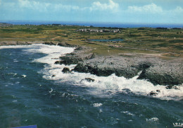 56 QUIBERON LA COTE SAUVAGE - Quiberon