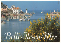56 BELLE ILE EN MER SAUZON LE PORT - Belle Ile En Mer