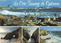 56 QUIBERON LA COTE SAUVAGE - Quiberon