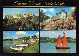 56 L ILE AUX MOINES PERLE DU GOLFE - Ile Aux Moines