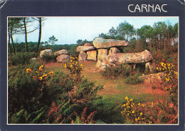 56 CARNAC LE DOLMEN DE MANE KERRIONED - Carnac