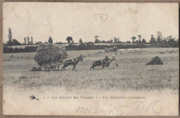 CPA AGRICULTURE - Les Travaux Des Champs ! - Un Charretier Courageux - TB PLAN ATTELAGE ANE MULET 1904 - Culture