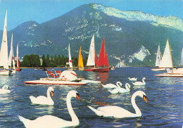 74  ANNECY LE LAC - Annecy