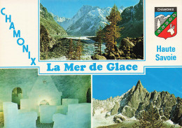 74 CHAMONIX MONT BLANC LA MER DE GLACE - Chamonix-Mont-Blanc