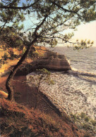 17  MESCHERS SUR GIRONDE PLAGE DE L ARNECHE - Meschers