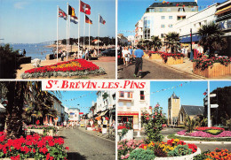 44  SAINT BREVIN LES PINS - Saint-Brevin-les-Pins