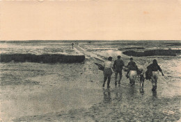 17  ILE D OLERON COSTUMES PECHEUSES D HUITRES - Ile D'Oléron