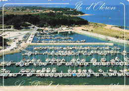 17  ILE D OLERON LE DOUHET - Ile D'Oléron