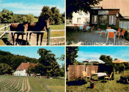 73615443 Boekensberg Gasthaus Pension Dittmann Terrasse Pferdekoppel  - Autres & Non Classés