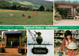 73615344 Kellenbach Koenigsau Toepferei Seifert Details Wildgehege  - Autres & Non Classés